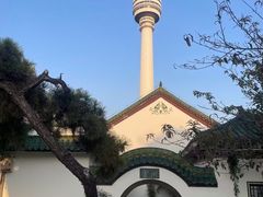 -龟山风景区-龟山电视塔