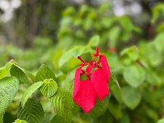 -广州神农草堂中医药博物馆