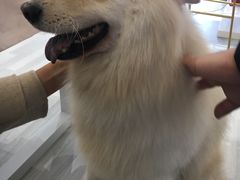 -肆兮眼镜·蔡司·徕卡战略合作店(大坪店)
