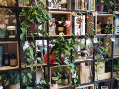 -ZING COFFEE 镜咖啡