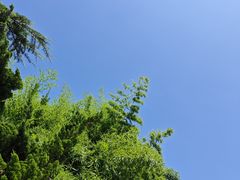 -黑石礁公园