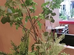 -华记煲仔华·煲仔饭(三元里万科里店)