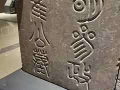 -安阳博物馆