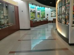 -二沙岛-广东华侨博物馆