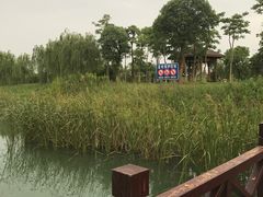 -南湖湿地公园