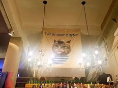 -猫咪博物馆(顶澳仔猫街店)