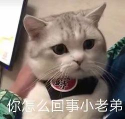 点击看大图 -onlygirl摄影美学馆高端定制(江滩店)