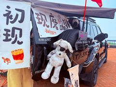 -合肥滨湖国家森林公园