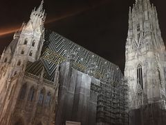 -斯蒂芬主教座堂(Stephansdom)