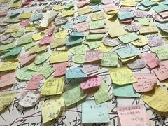 -九华山友谊土菜馆 小资餐厅