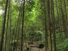 -凤栖山