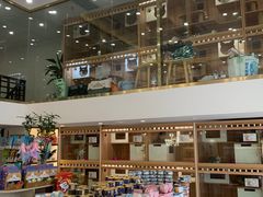 -钦宠·猫咪售卖·洗护·寄养(东圃旗舰店)