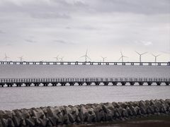 -南汇嘴观海公园