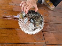 -蓝湾碧波·老字号·疍家非遗海上餐厅