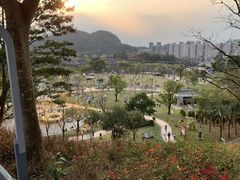 -白石龙音乐公园