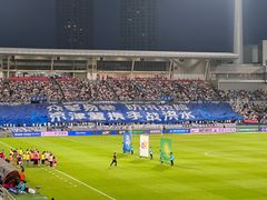 -泰达足球场