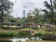 -人民公园(罗湖区)