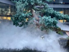 -绿茶餐厅(成都太古里店)