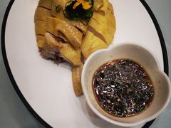 -新名仕新白玉兰餐厅