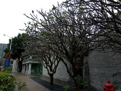 -黄祥华养生堂·炖汤·营养蒸饭(岭南天地店)