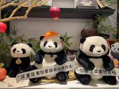-轩客会(熊猫书店)