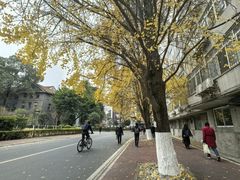 -四川大学(华西校区)