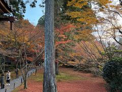 -三千院