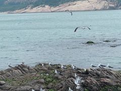 -海驴岛(荣成市)