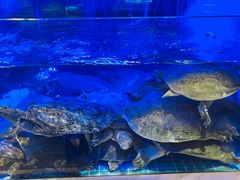 -王捌小院(红花坡店)
