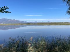 -野鸭湖国家湿地公园