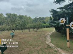 -西安浐灞国家湿地公园