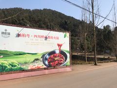 -楠柏弯休闲山庄(梨花溪店)