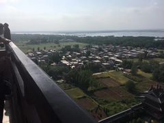 -滕州微山湖红荷湿地景区