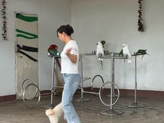 -南戴河国际娱乐中心