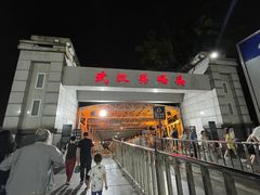 -武汉关码头(轮渡站)