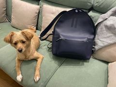 -猛犸手作·皮具·diy团建·礼品定制(新华路店)