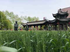 -证大喜玛拉雅中心