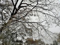 -终南山南五台景区