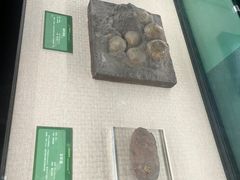 -珠海市博物馆