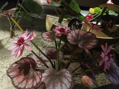 -木子塘汗蒸生活馆(财富港店)
