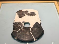 -安阳博物馆