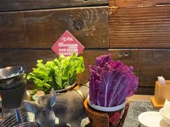 -慢丽江·云南野生菌土鸡锅(西山店)