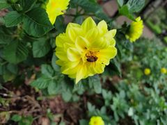 -黑龙江省森林植物园