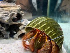 -太平洋海底世界