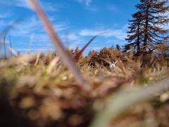-芦芽山旅游度假区