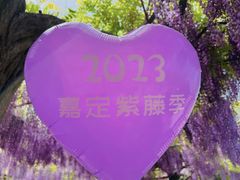 -嘉定紫藤园