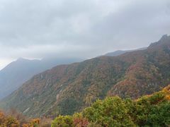 -白草畔自然风景区