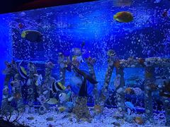 -太平洋海底世界