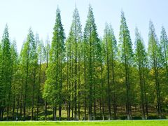 -宜兴龙背山森林公园
