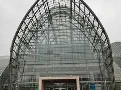 -南山植物园